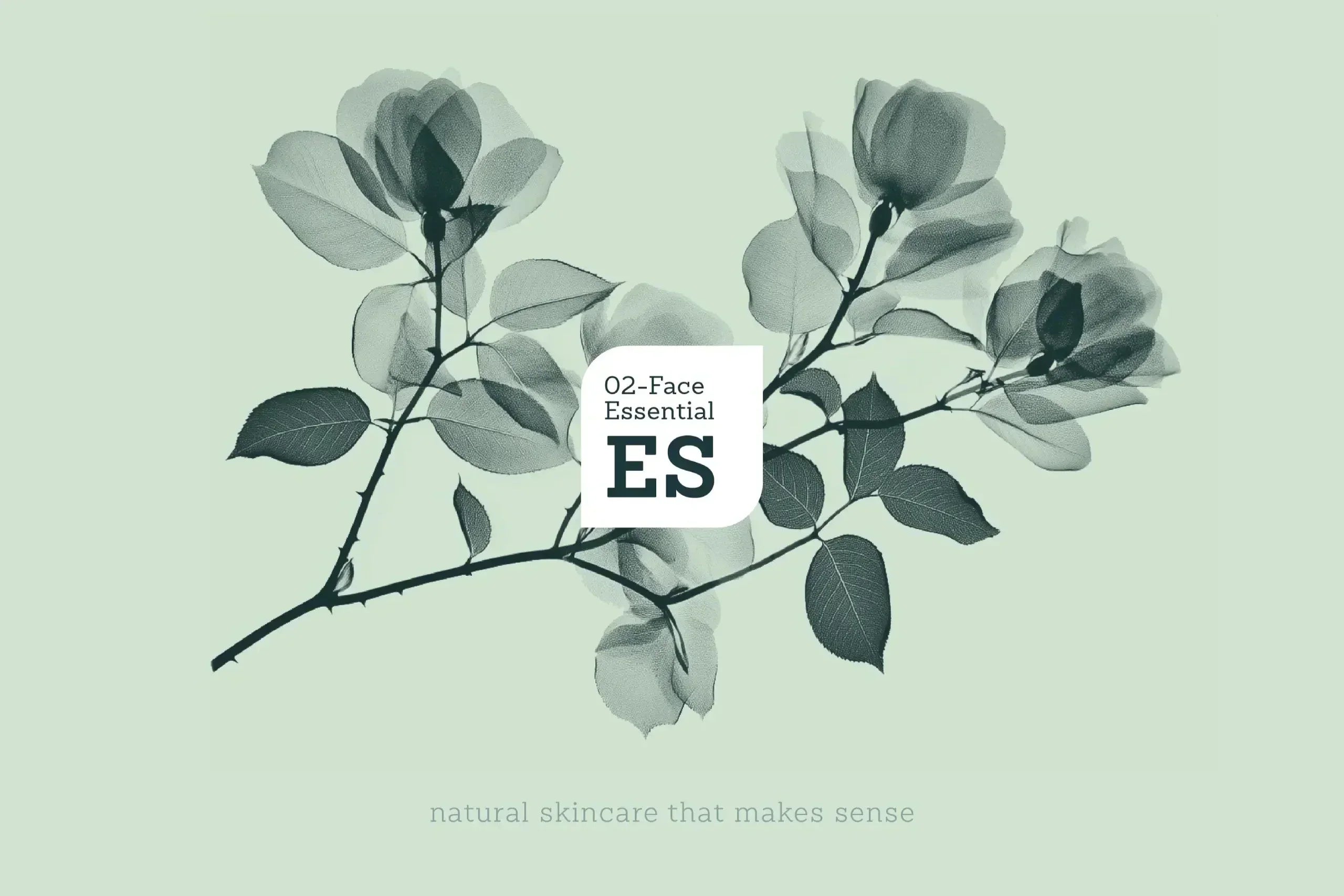 Het Balmsense®-principe: minder water, meer huidlogica