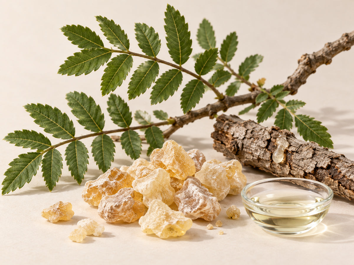 Wierookolie (frankincense)