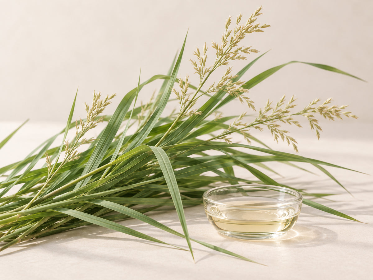 Palmarosagras (Cymbopogon martini) met bloeiende toppen en essentiële palmarosaolie in een glazen schaaltje.