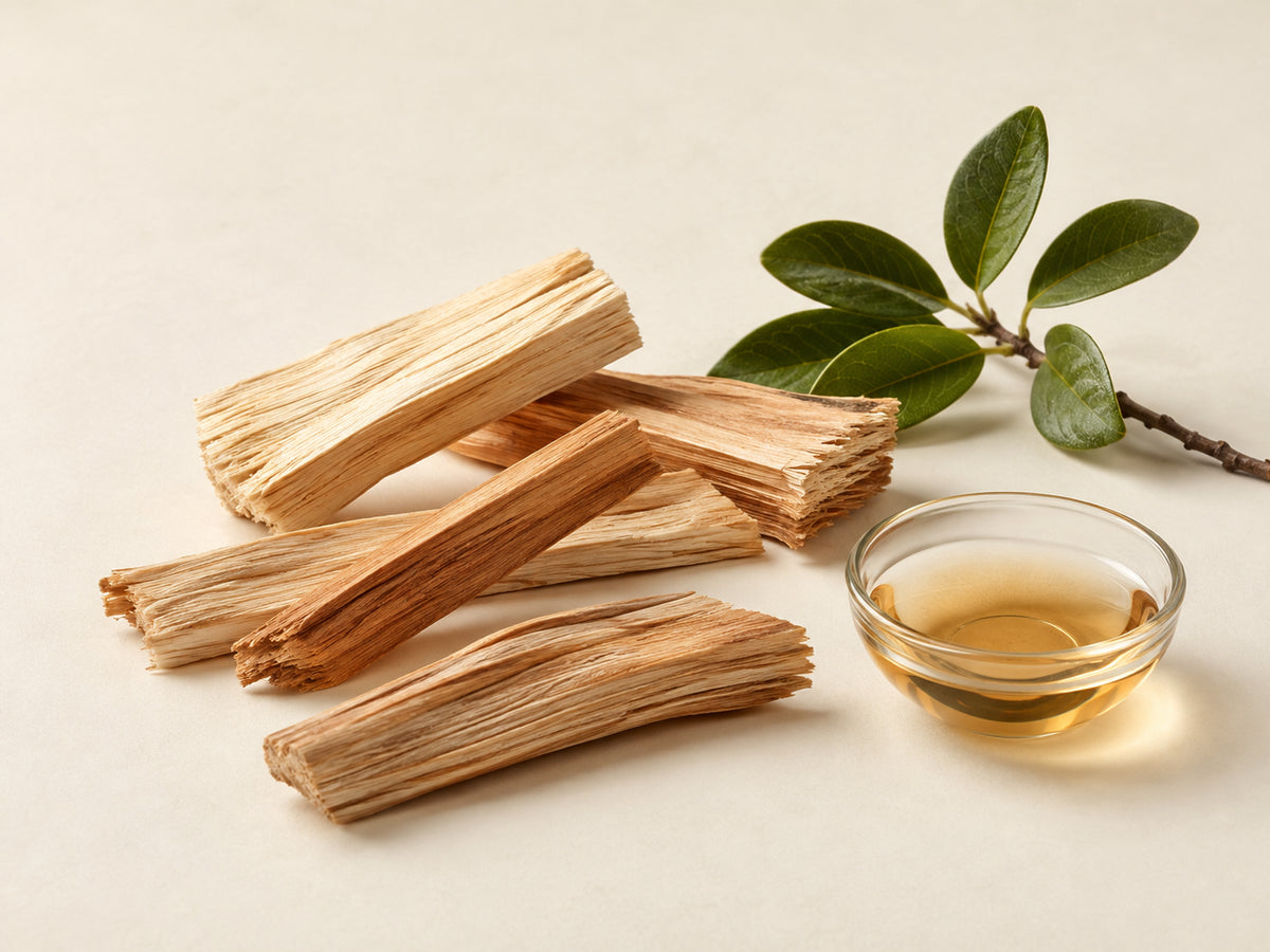 Quillajahoutextract